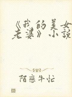 《我的美女总裁老婆》小说