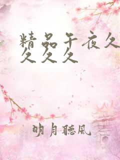 精品午夜久久久久久久