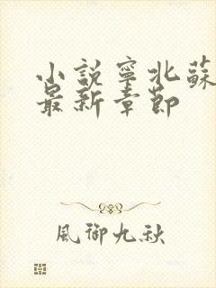 小说宁北苏清荷最新章节