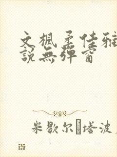文枫柔佳雅君小说无弹窗
