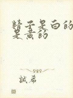 精子是白的好还是黄的