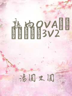 熟肉OVAちゃんはしたい3V2