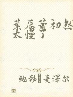 叶辰萧初然更新太慢了