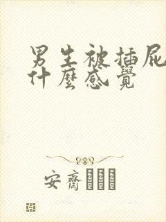 男生被插屁眼是什么感觉