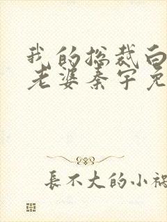 我的总裁白富美老婆秦宇免费阅读