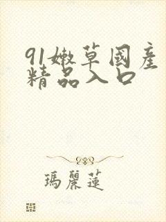91嫩草国产丨精品入口