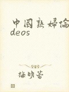 中国熟妇伦videos