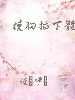 摸胸插下体小说