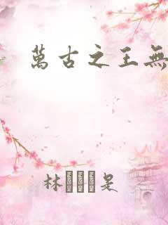 万古之王无弹窗