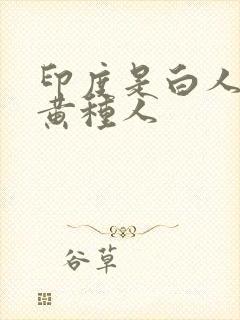 印度是白人还是黄种人