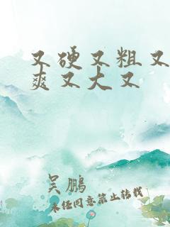 又硬又粗又黄又爽又大又