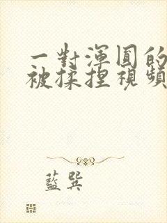 一对浑圆的胸乳被揉捏视频