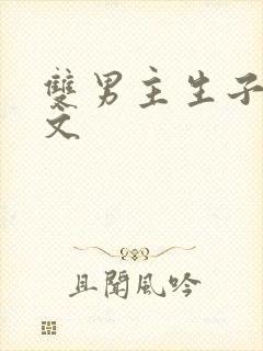 双男主生子高干文