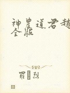 神农道君赵兴完全版