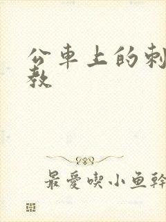 公车上的刺激调教