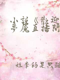 小说《欢迎进入梦魇直播间桑沃》