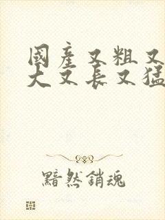 国产又粗又硬又大又长又猛又爽的视频