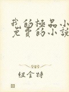 我的极品小姨全免费的小说