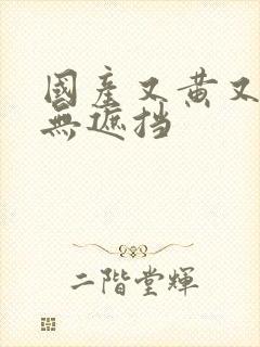 国产又黄又爽的无遮挡