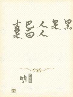 古巴人是黑人还是白人