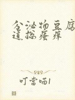 分泌物豆腐渣阴道总瘙痒