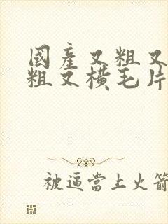 国产又粗又硬又粗又横毛片