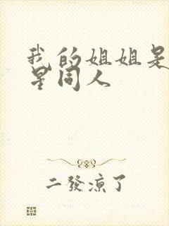 我的姐姐是大明星同人