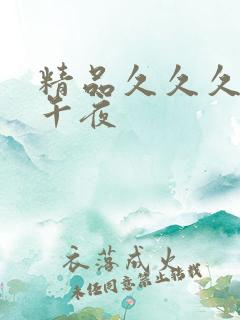 精品久久久久久午夜