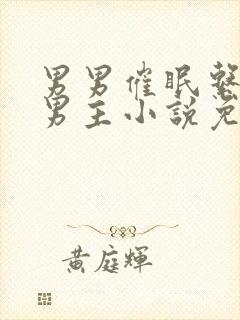 男男催眠系统双男主小说免费阅读