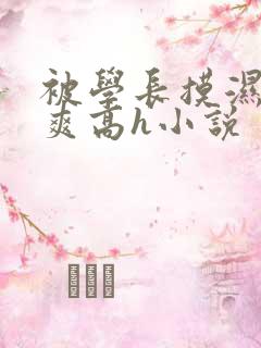 被学长摸湿奶好爽高h小说