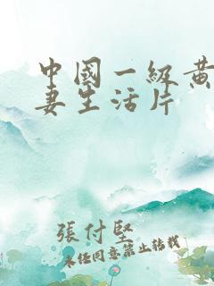 中国一级黄色夫妻生活片