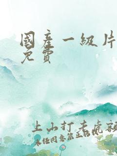 国产一级片精品免费