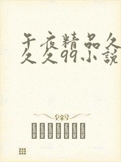 午夜精品久久久久久99小说