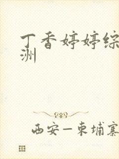 丁香婷婷综合亚洲