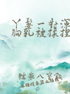 丫鬟一对浑圆的胸乳被揉捏小说