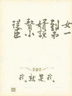 从赘婿到女帝宠臣小说第一部