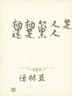 柏柏尔人是白人还是黑人