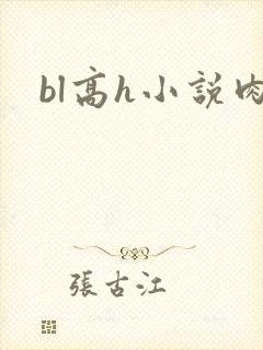 bl高h小说肉