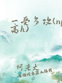 一受多攻(np高h)