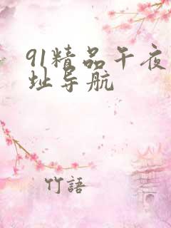 91精品午夜网址导航