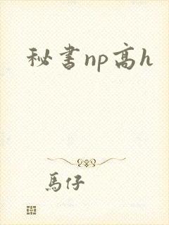 秘书np高h