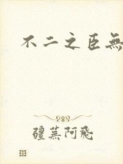不二之臣无删减