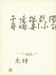 千亿总裁独宠替身娇妻l小说