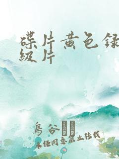 碟片黄色录像一级片