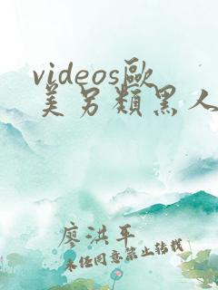 videos欧美另类黑人