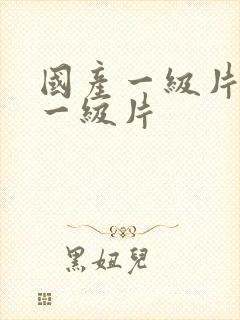 国产一级片国产一级片