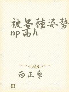 被各种姿势玩弄np高h