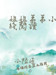 姐姐弟弟小说在线阅读