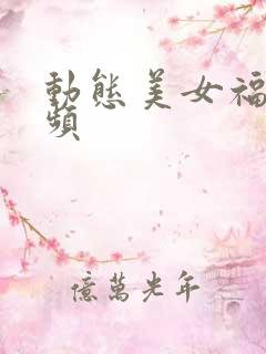 动态美女福利视频