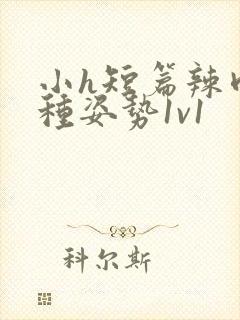 小h短篇辣肉各种姿势1v1